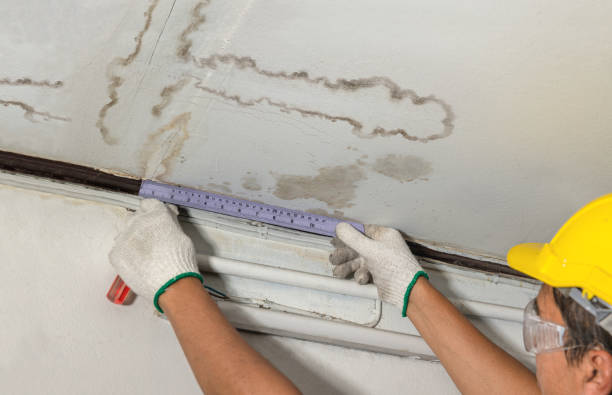 Reliable Sewage Cleanup contractor in East Taunton, MA by Water Damage Irwin